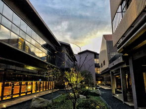 秒殺100間！搶紫一川日式溫泉酒店，享華誼兄弟戶外裸湯與湖景燒烤，秋冬溫泉季全通用